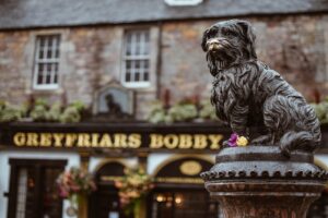 Autózás kutyával – Biztonságos utazás