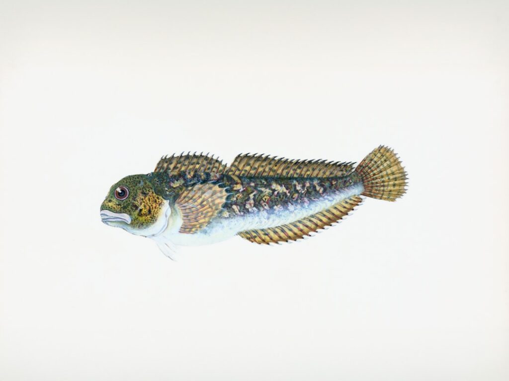 Történelmi sorozatok: mennyi benne a tény?