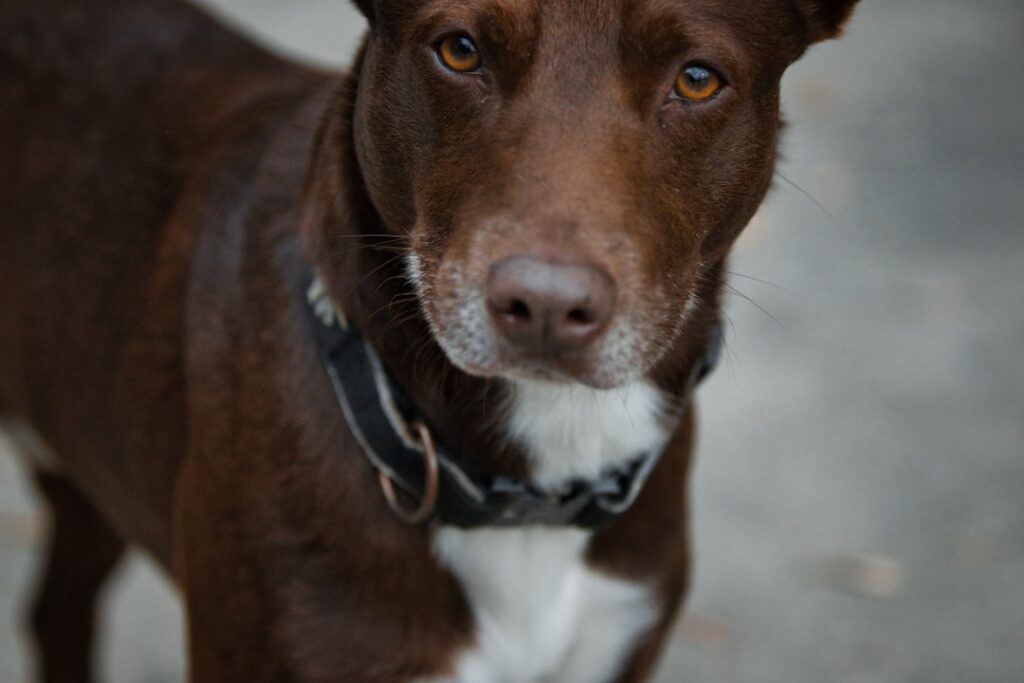 A hétköznapi tárgyak csendes jelenléte: Egy láthatatlan világegyetem körülöttünk