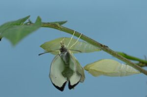 A hétköznapok észrevétlen szépsége: Pillanatok, amelyek bearanyozzák mindennapjainkat